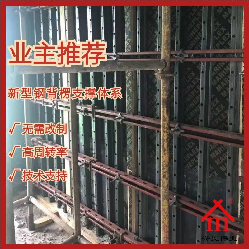 德州鋼背棱