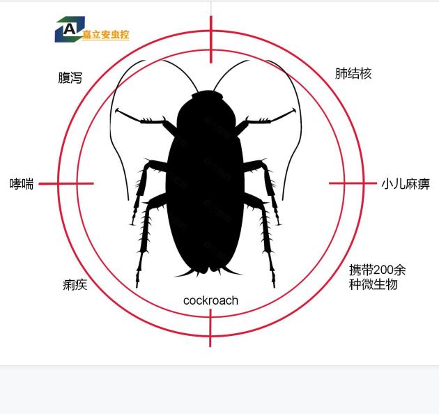 成都高新区除蟑螂