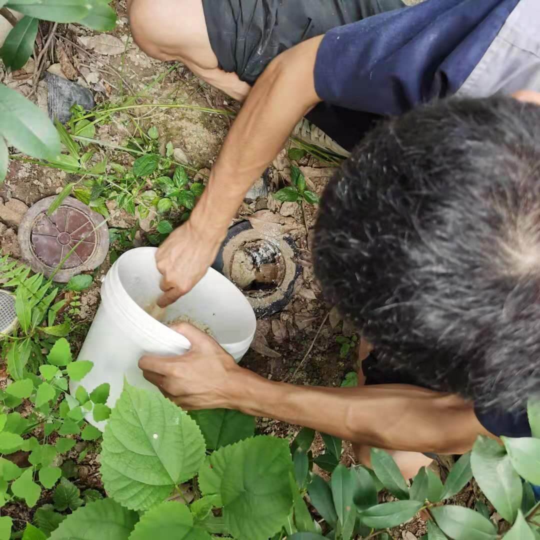 自貢殺白蟻服務A級資質