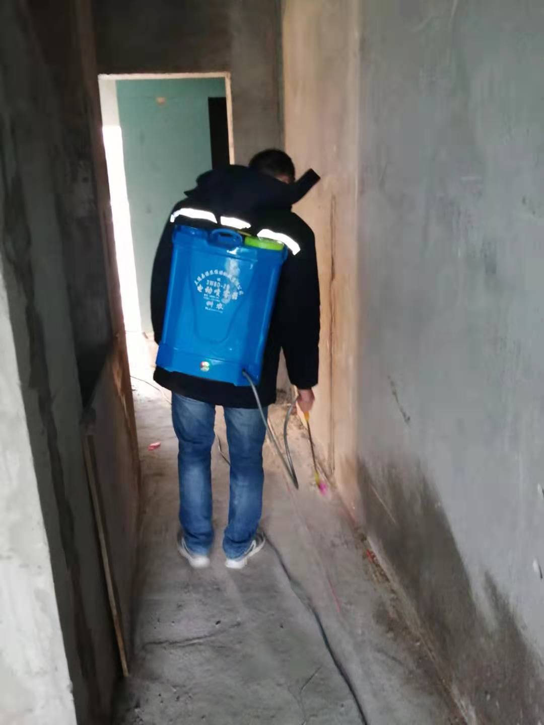 珙縣滅螞蟻公司
