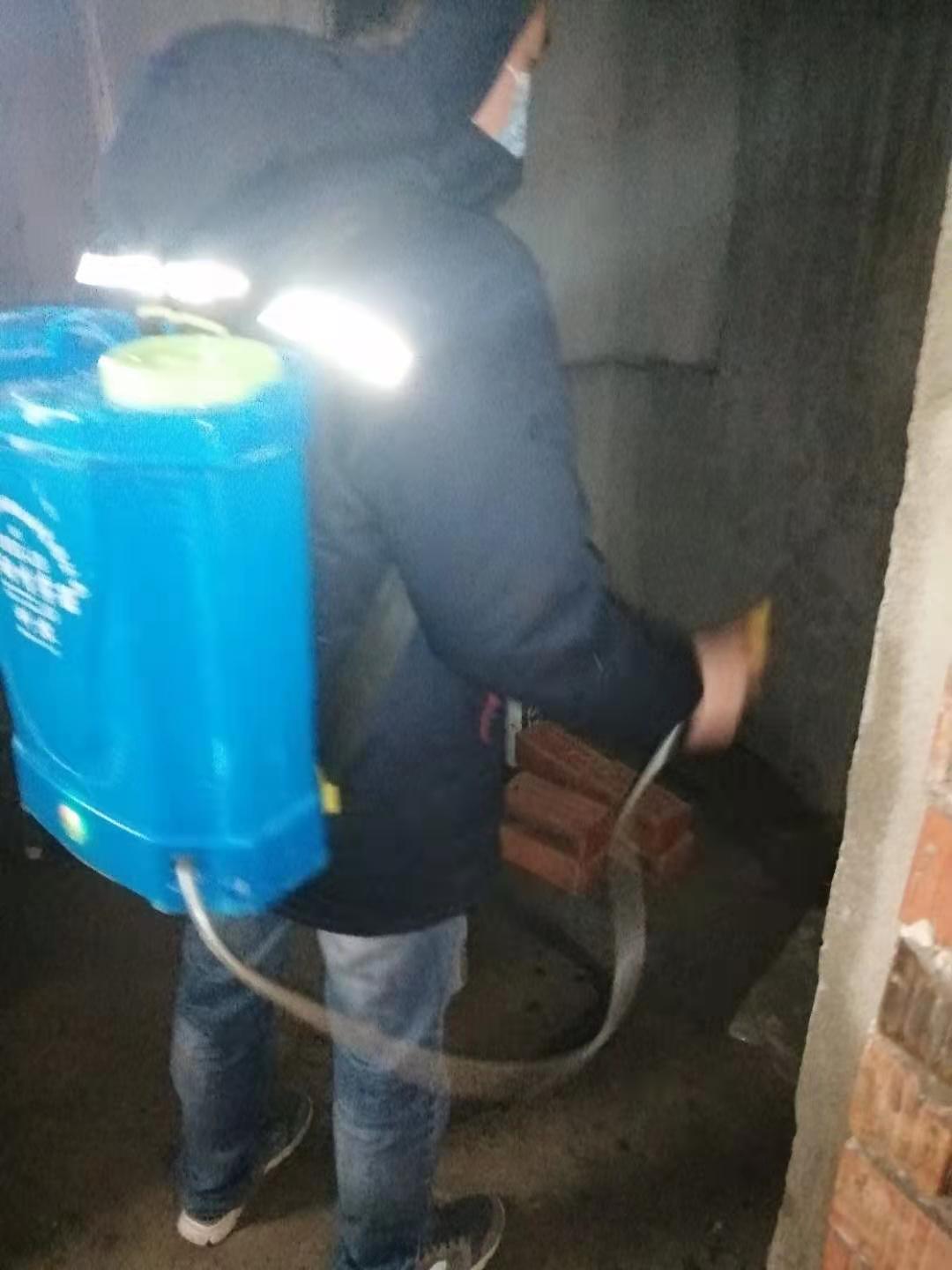 射洪白蟻防治公司效果