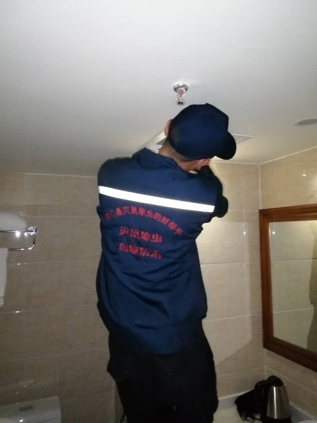 樂至滅老鼠服務效果