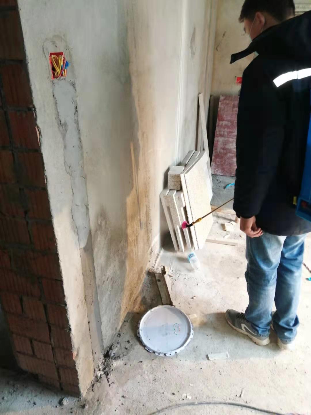 資中白蟻防治中心技術好