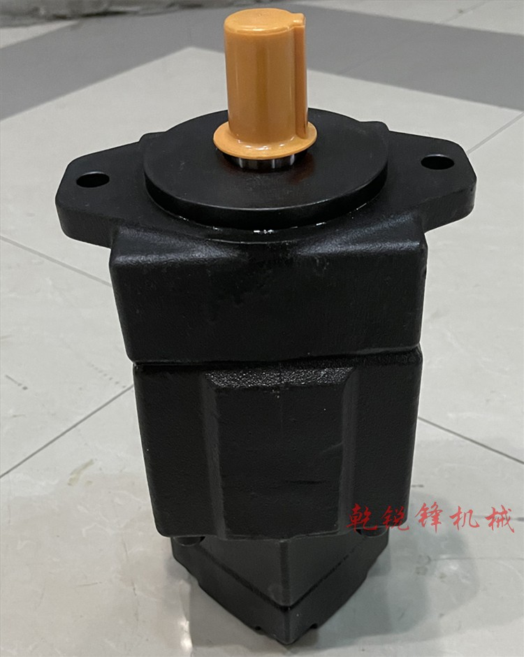 葉片泵 YB-D25/25 注塑機葉片泵