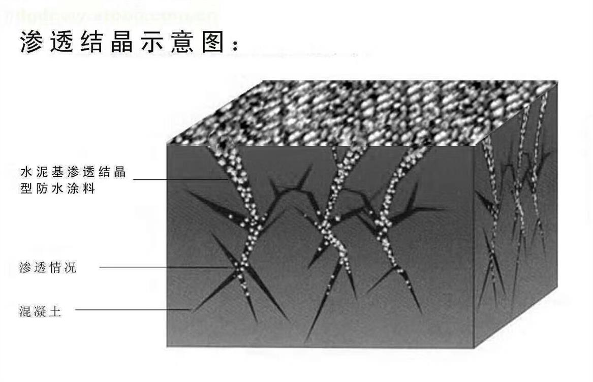 深圳水泥基渗透结晶防水涂料费用