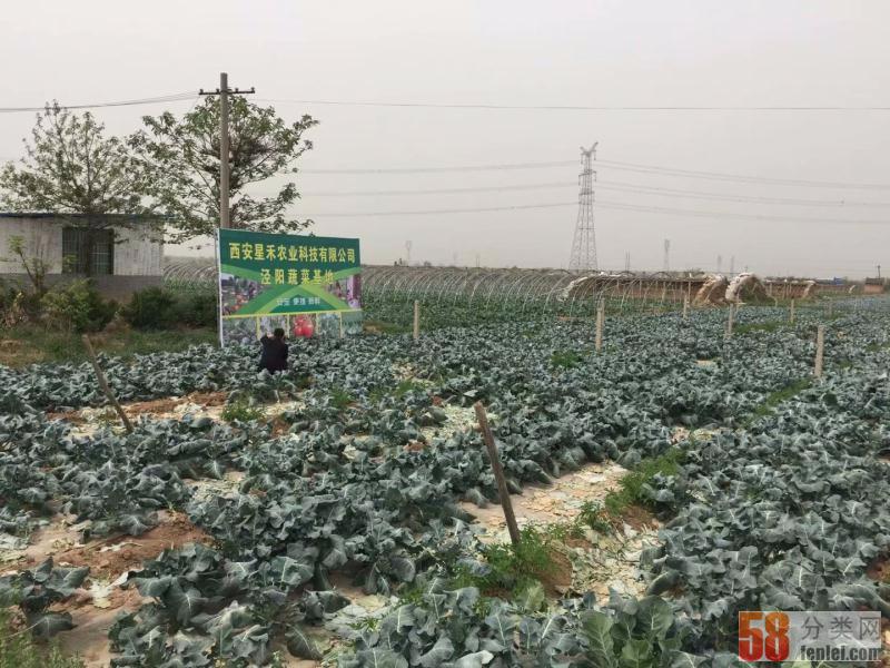 西安职工餐厅食材配送大型食材配送公司