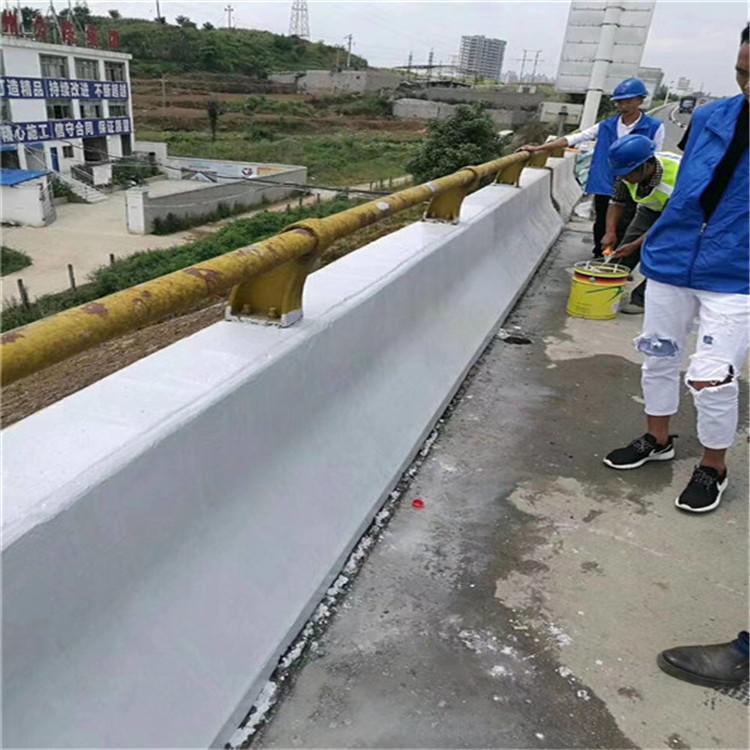麗水cpc混凝土防碳化廠家