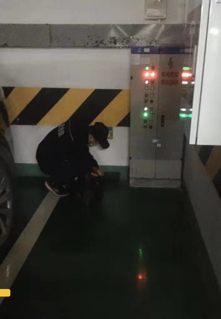 遂寧柔剛街道滅蟑螂公司 上門服務(wù)