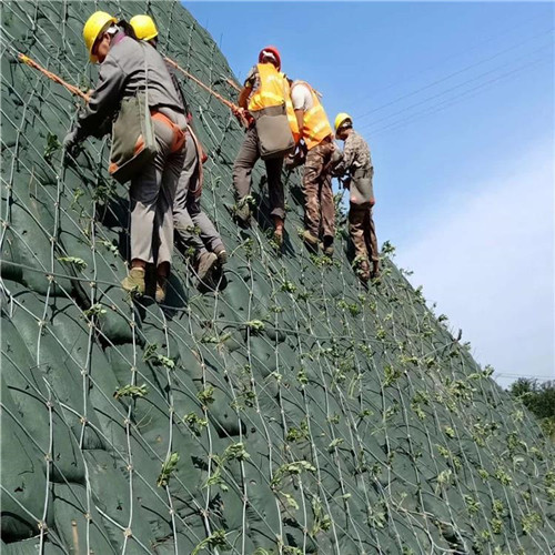 珠海生态袋河道护坡植生袋治理