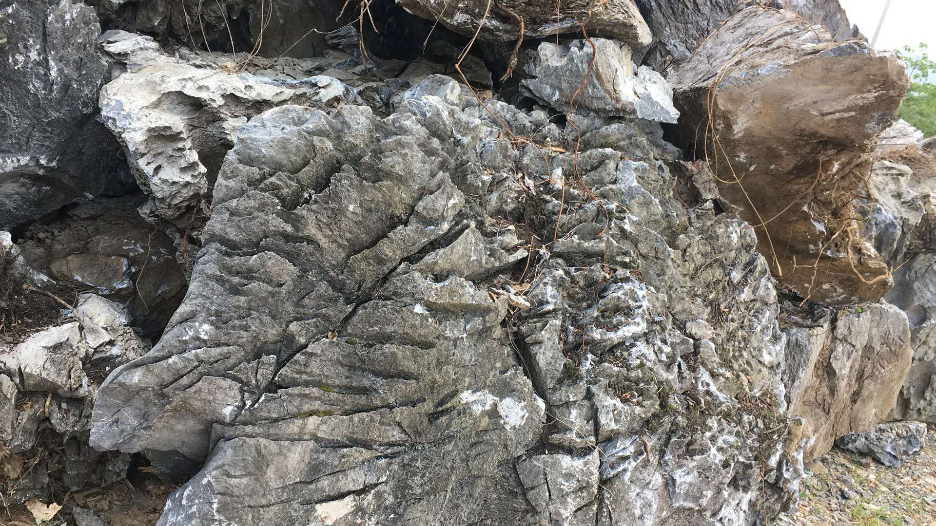 广东大量大英石假山石青龙石叠石峰石厂家供应 花园假山大英石 英石价格