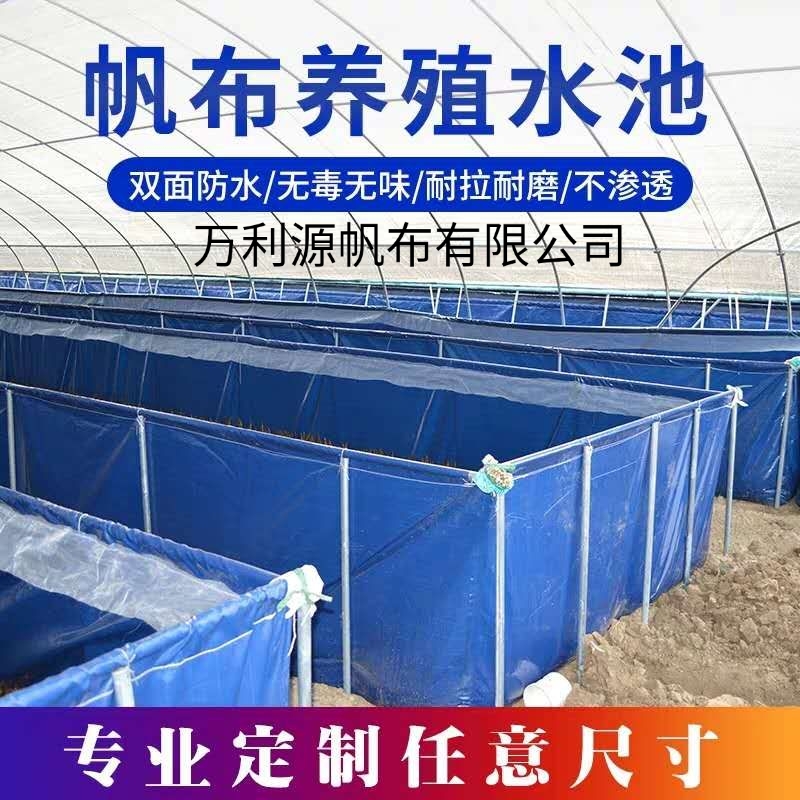 户外大型加厚帆布养鱼池家用养殖锦鲤防水虾池折叠塑料刀刮布水池