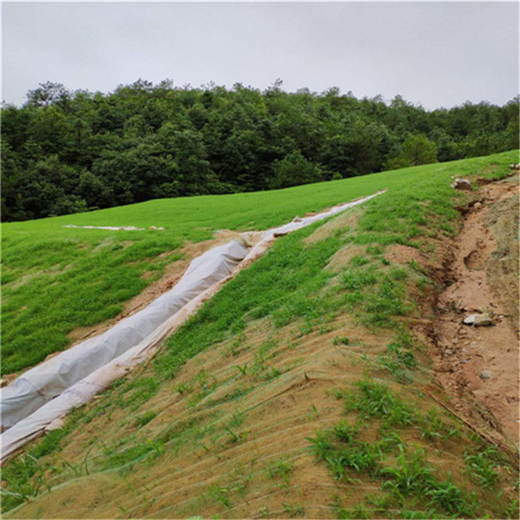 西宁道路边坡椰丝纤维毯边坡绿化植生毯施工