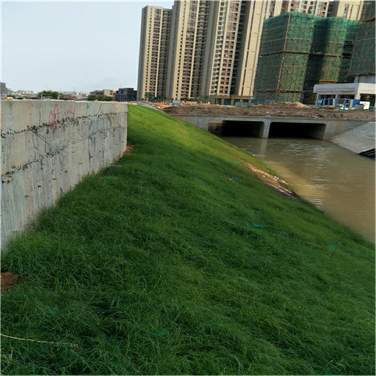 银川   道路边坡  椰丝植生毯欢迎考察参观