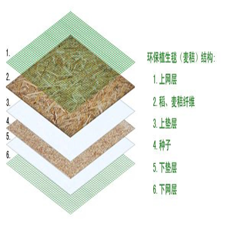 邯郸生态毯施工