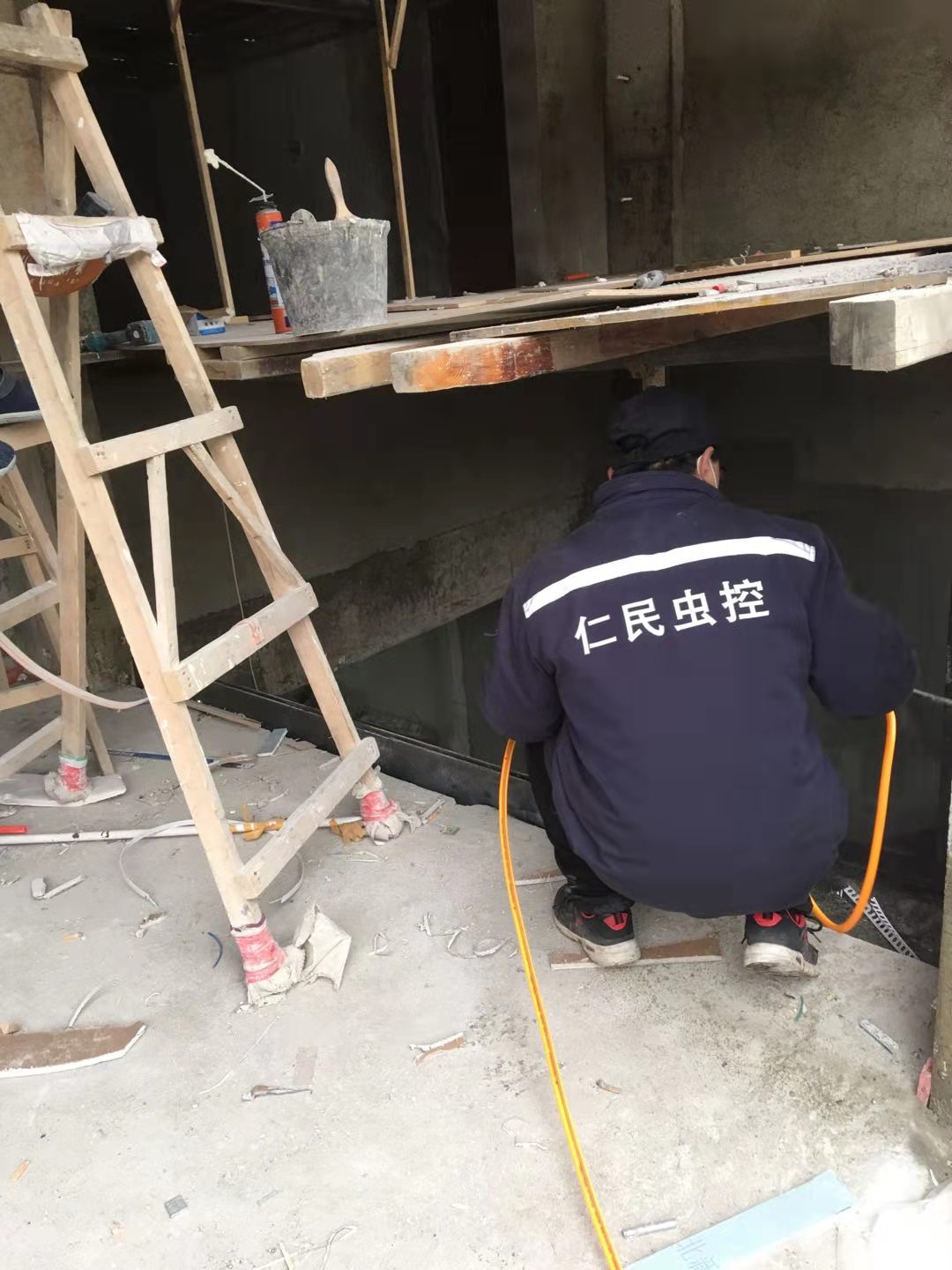 龙泉社区灭跳蚤公司