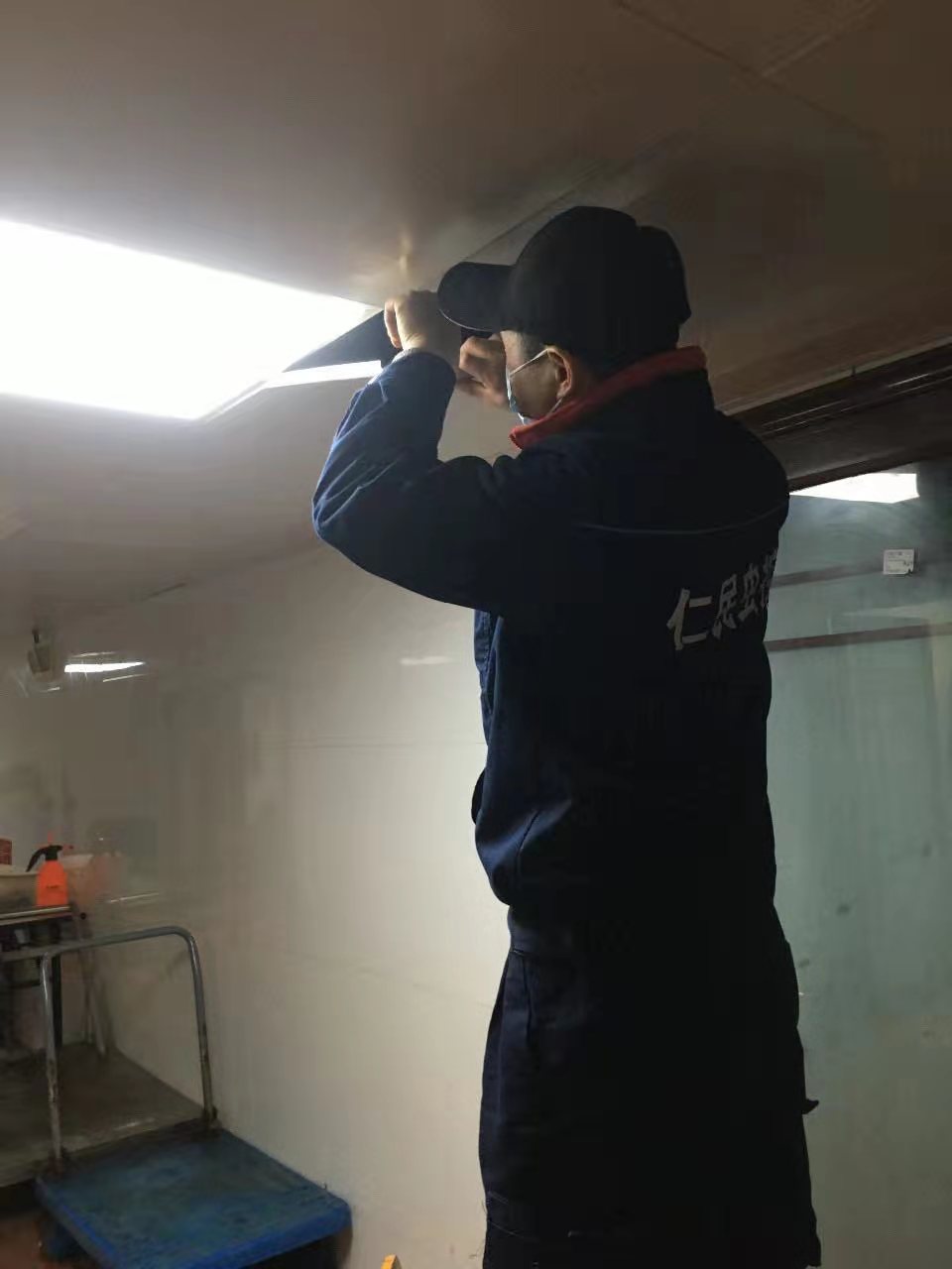 消殺蟑螂 龍泉餐廳滅蟑螂機構 多年消殺經驗