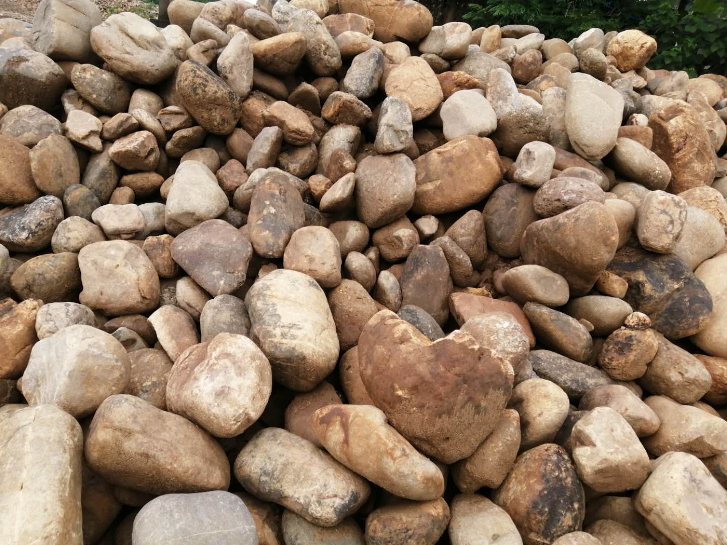 大量园林铺路杂色鹅卵石 水过滤鹅卵石 园林水池铺地鹅卵石