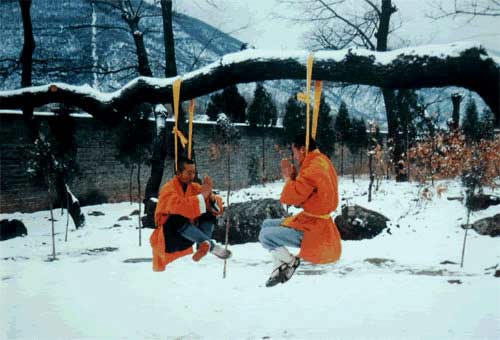 少林小龍武術(shù)學(xué)院出來能干什么|小龍武校招生