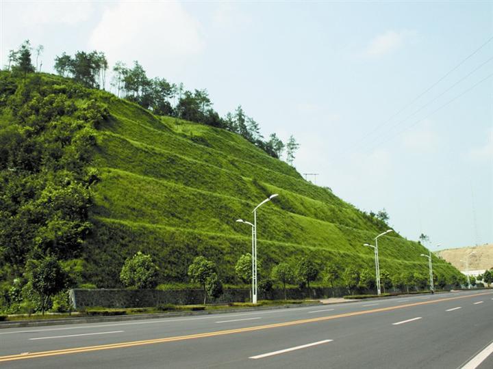 石家庄客土喷播植草