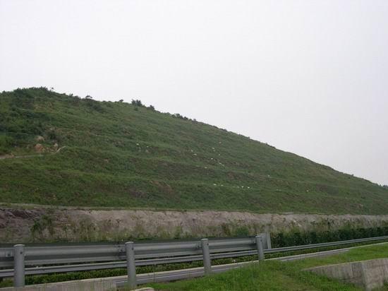 大庆客土喷播植草