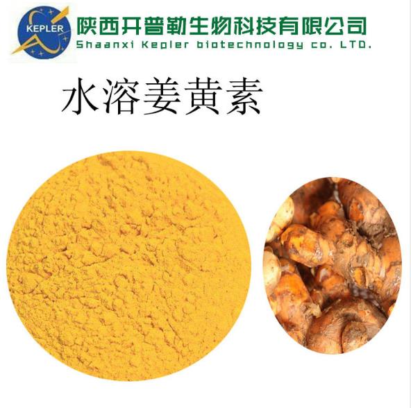 常州姜黃提取物