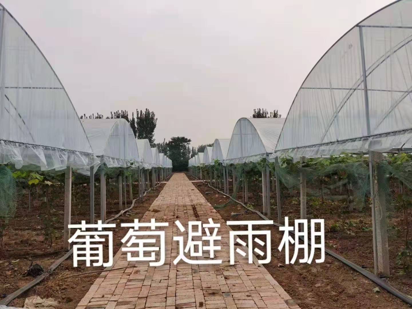 潍坊种植大棚价格