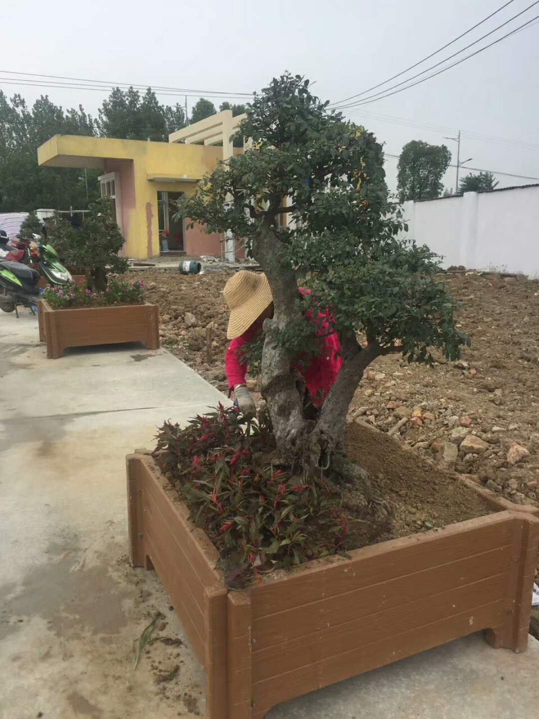 台州水泥仿木花箱定制 水泥仿木箱涵 送货上门