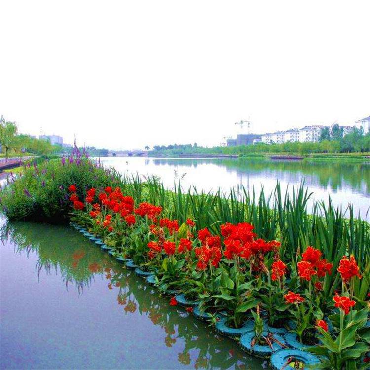 各種人工浮島漂浮浮島生態(tài)浮床河道綠化水生植物種植養(yǎng)護(hù)施工