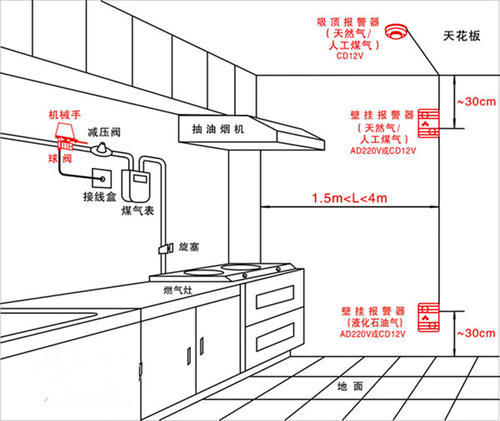 汽油可燃气体探测器