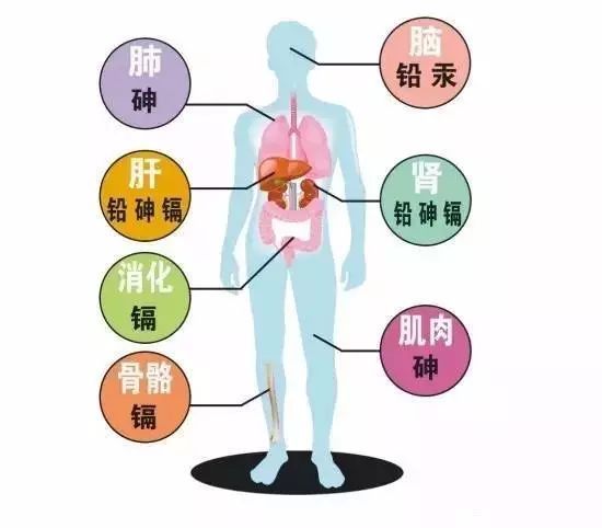 无锡水箱水质检测