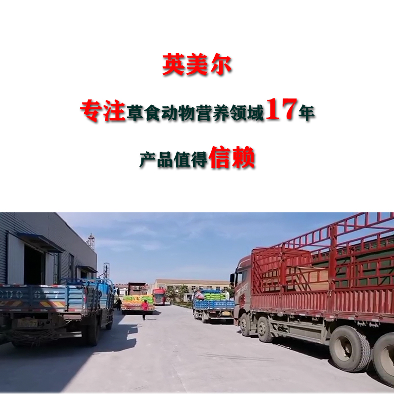 母牛預混料配方