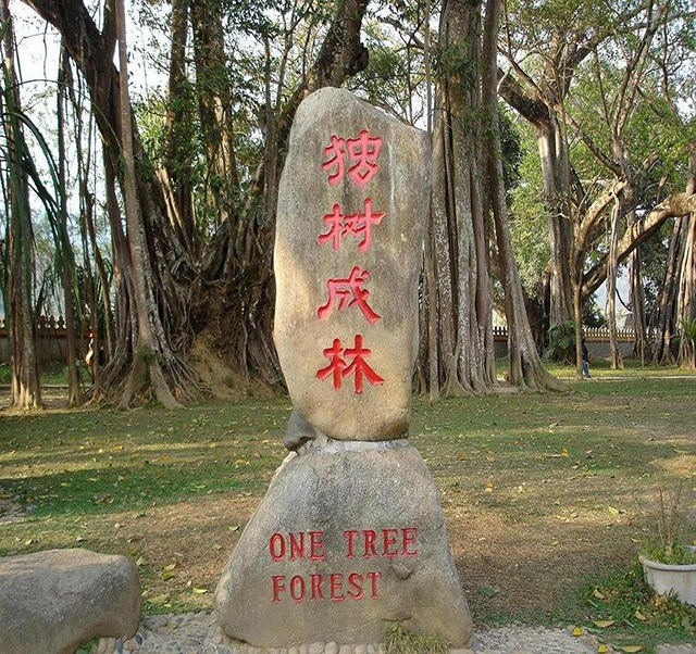 腾冲芒市瑞丽旅游包车_瑞丽旅游包车带师傅_瑞丽旅游包车电话 云南腾冲佳旅旅游包车供应