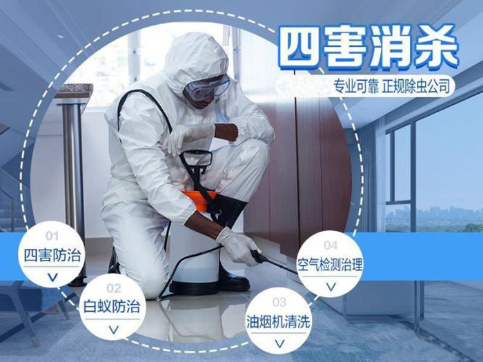 殺白蟻 蟲害白蟻治理-重慶金螞蟻除蟲滅蟻-三峽廣場白蟻治理