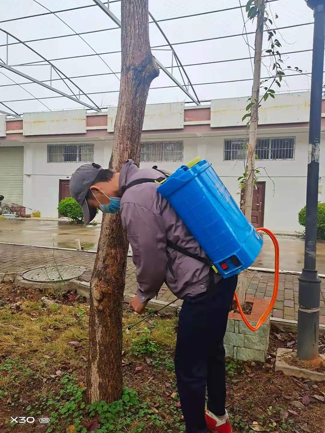 南寧四塘鎮滅白蟻的注意事項