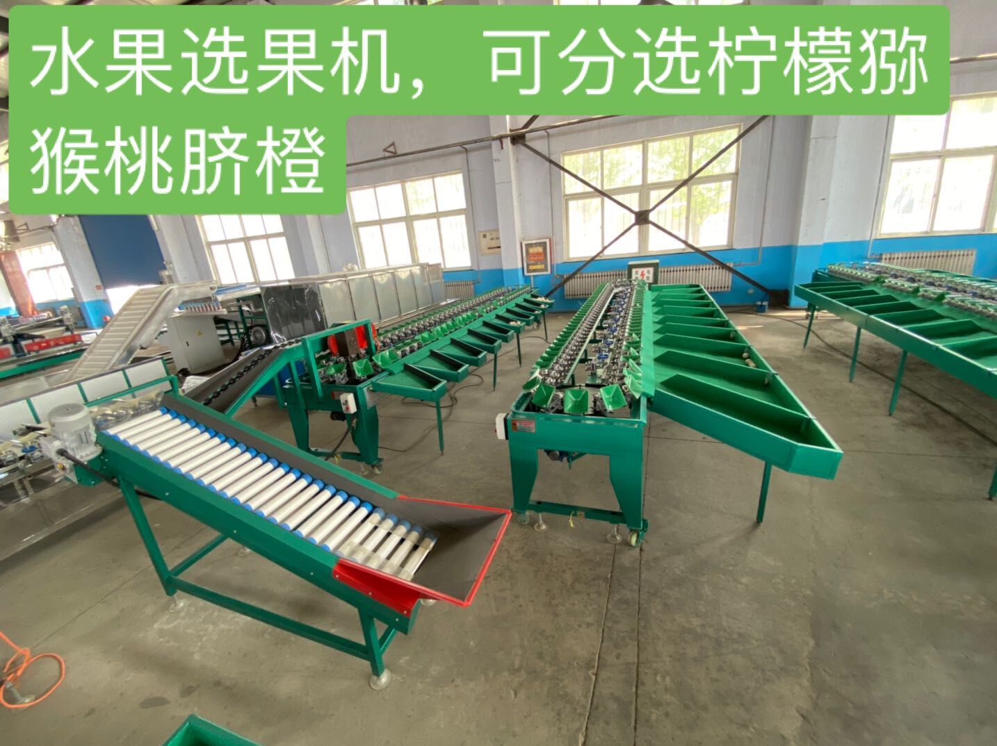 喀什甜瓜選果機 普遍應用的選果機