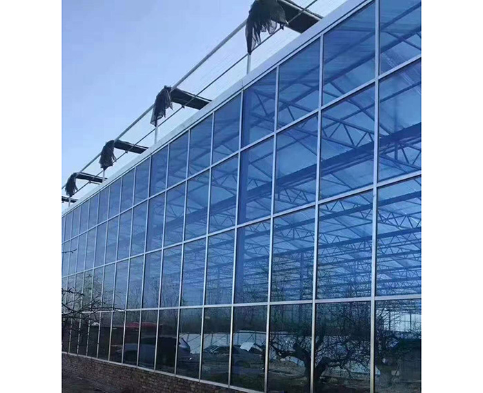 塑料溫室大棚來圖建造-智博農業科技-寶雞塑料溫室大棚