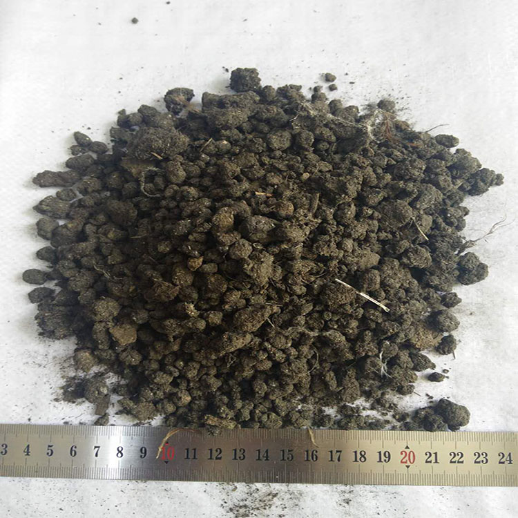 山西曬干雞糞 純雞糞