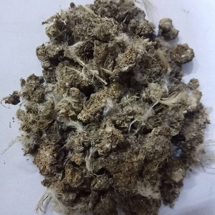 開封廠家批發雞糞 蔬菜大棚玉米花生經濟作物