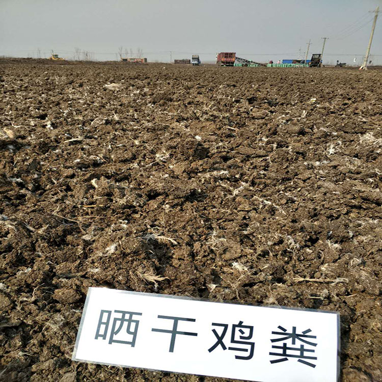 洛陽發酵雞糞肥料