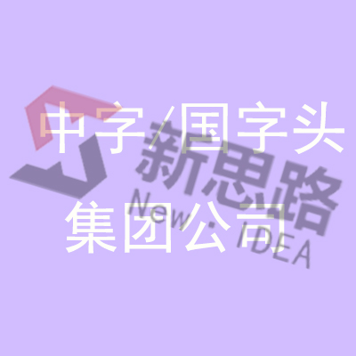 无地域企业核名疑难退回再审