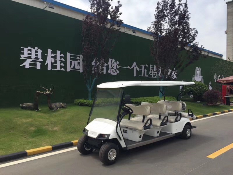 潮州6座樓盤看房車 多樣款式