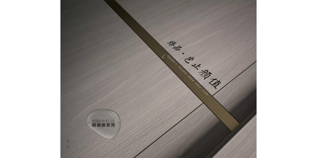 鄭州烤漆碳晶門是什么材質 誠信經營 東派門業供應