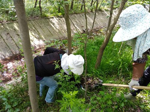 橋頭白蟻防治 上門防治白蟻 白蟻防治公司_快速治理