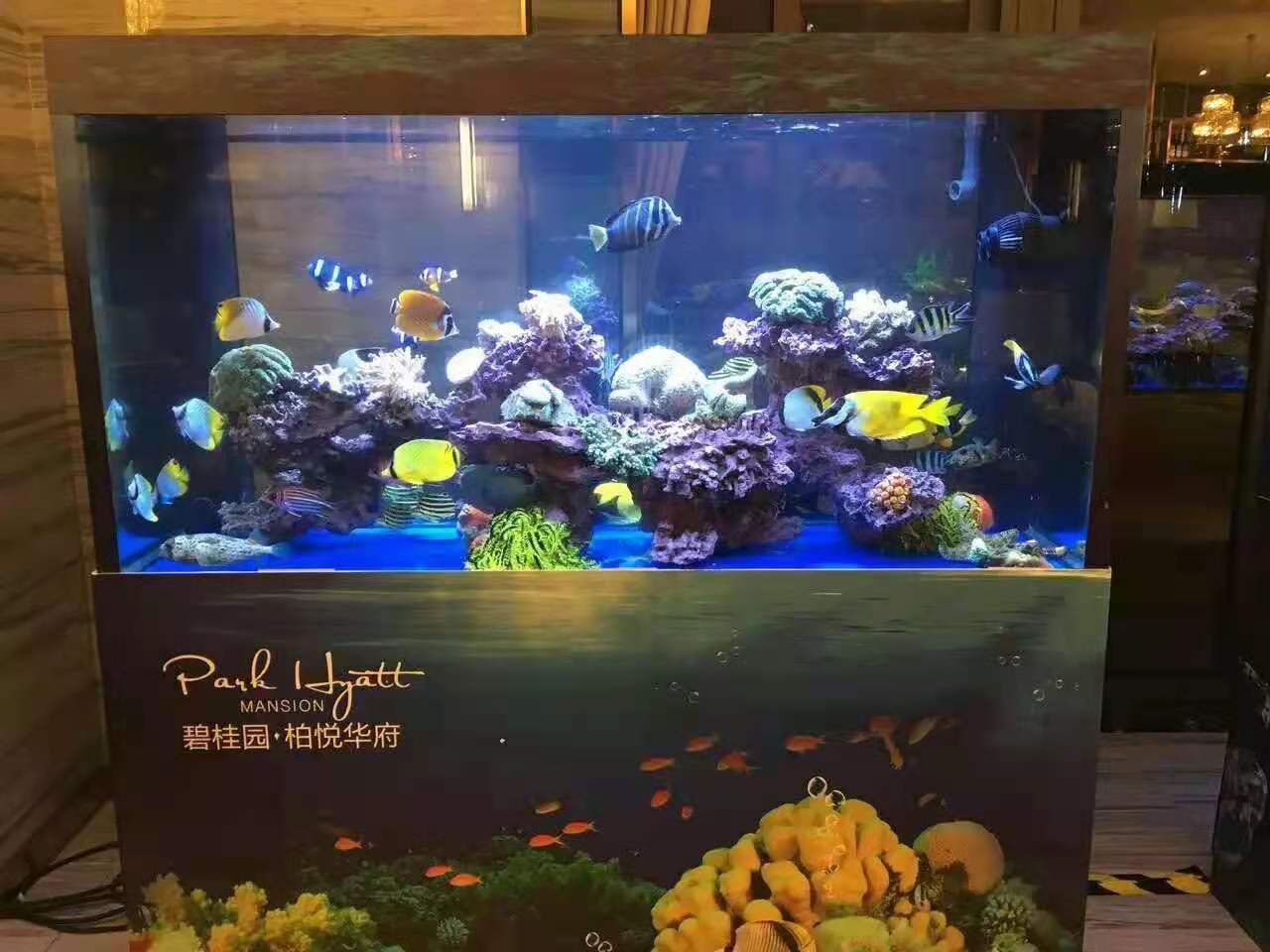 海洋生物展出租 广州海洋生物展各种表演 设备租售