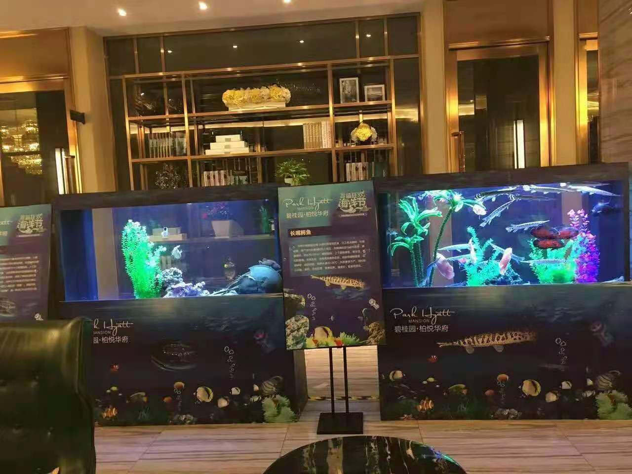 海洋生物展展览