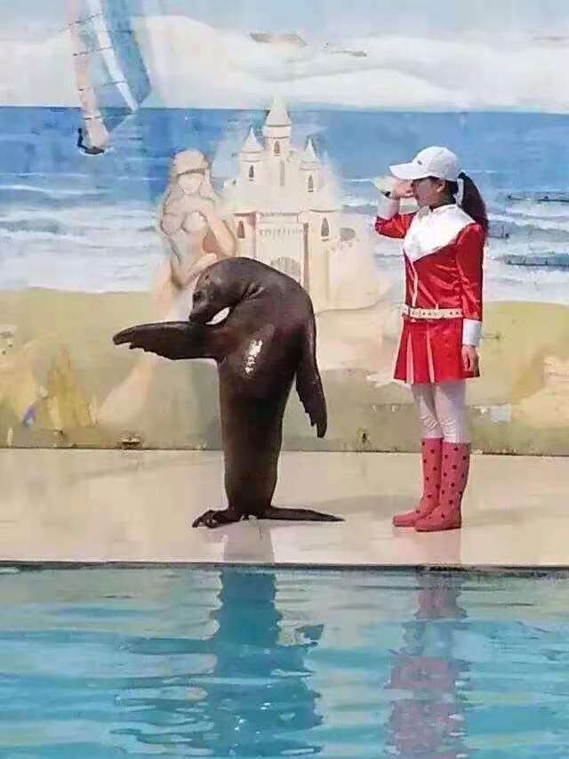 海口海洋生物展出租公司 設備租售