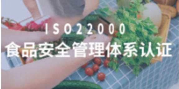 无锡ISO/PAS28009公司,体系认证