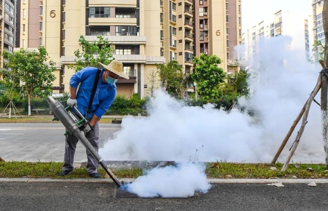 九江市灭蚊虫公司