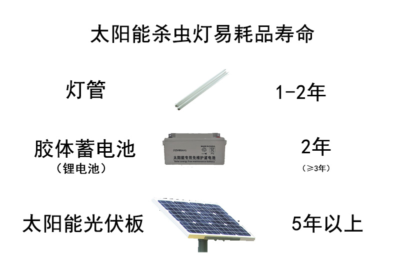 蔬菜大棚杀虫灯路灯采购