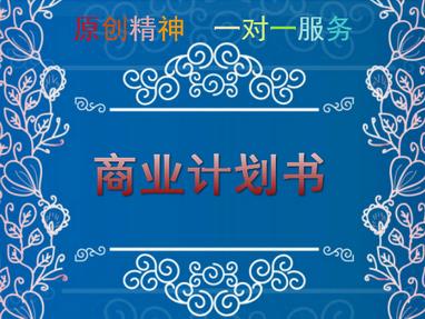 太原市企业项目融资报告书 融资计划 投资报告